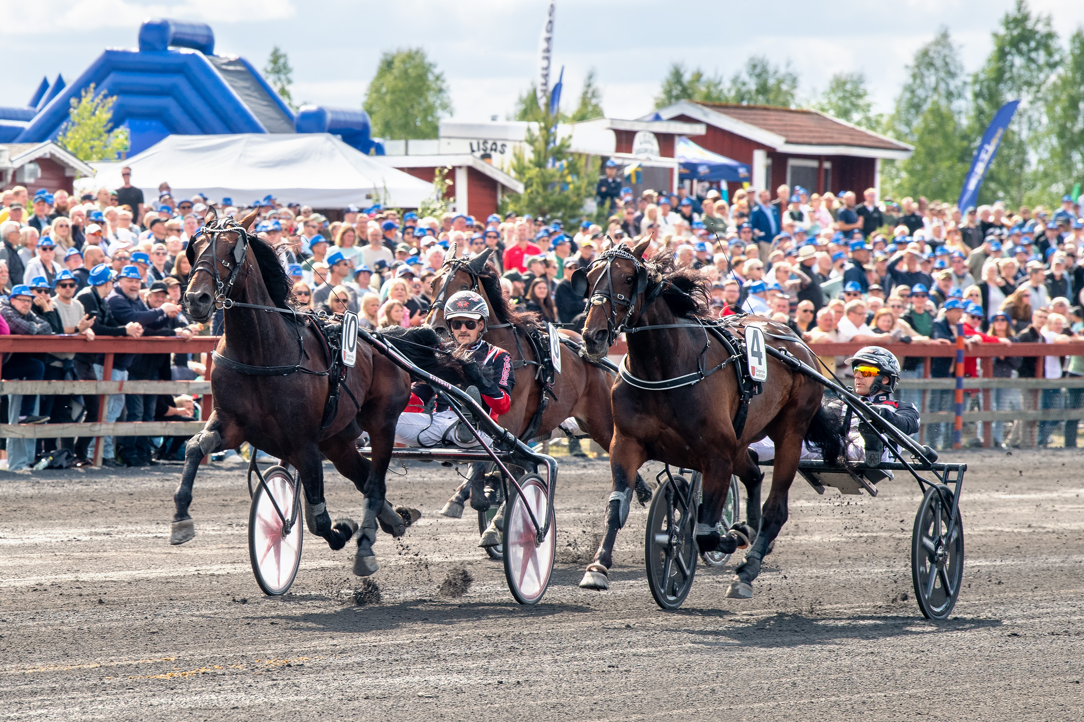 v75-premi-ren-p-tingsrydtravet-en-succ